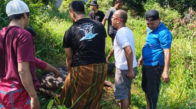 BMSN Kabupaten Bogor Gelar Pemotongan Hewan Kurban dari Bupati Bogor Rudy Susmanto